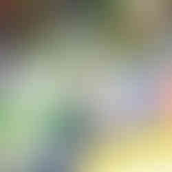 Sportfotografie Eishockey VSV