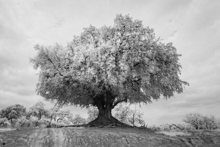 Landscape photography of Botswana in Infrared.