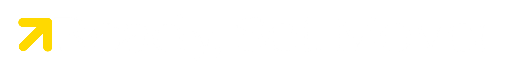 RSM Logo — Long w punctuation.png