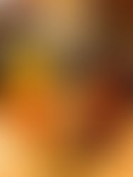 Orange Tootsie