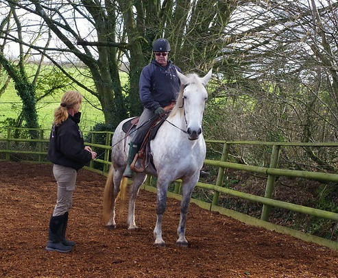 Philippa Unwin Natural Horsemanship Trainer schooling rehabilitation Horse Connection Clinic Pippway Classical Natural Horsemanship Wellington Somerset near Devon Natural Horsemanship training