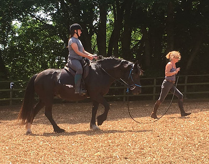 Pippsway Classical Natural Horsemanship Novice Lesson Natural Horsemanship Training schooling Wellington Somerset near Devon