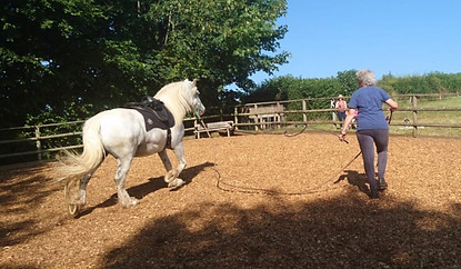 Freeschooling Barefoot mirroring body language natural horsemanship harmony affinity connection Pippsway Horse Connection Clinic Natural Horsemanship Wellington Somerset near Devon