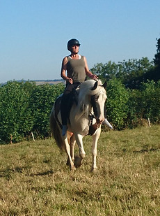 Barefoot rider barefoot pony harmony connection affinity no stirrups treeless saddle Pippsway Horse Connection Clinic Wellington Somerset near Devon