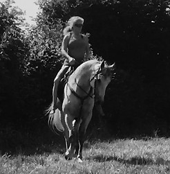 Barefoot ex-racehorse Barefoot saddle rehabilitation schooling classical natural horsemanship horse connection clinic Pippsway Wellington Somerset near Devon