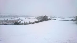 Pippsway Wellington Devon