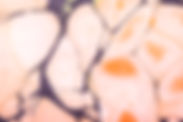 抽象サーフェス