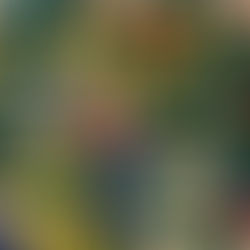 幼児が創造的に遊ぶには?