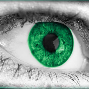 無意識に注意が向く？