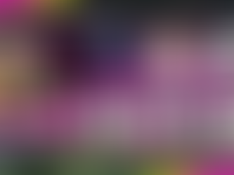 USF4 Random All PC Online Tournament #7 Hosted By: UG| Grilla | DJVest 9/17/22 Results