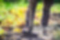 l-agriculteur-se-tient-avec-une-pelle-dans-le-jardin-preparation-du-sol-pour-planter-des-l