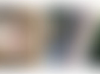 horse leg with scratches