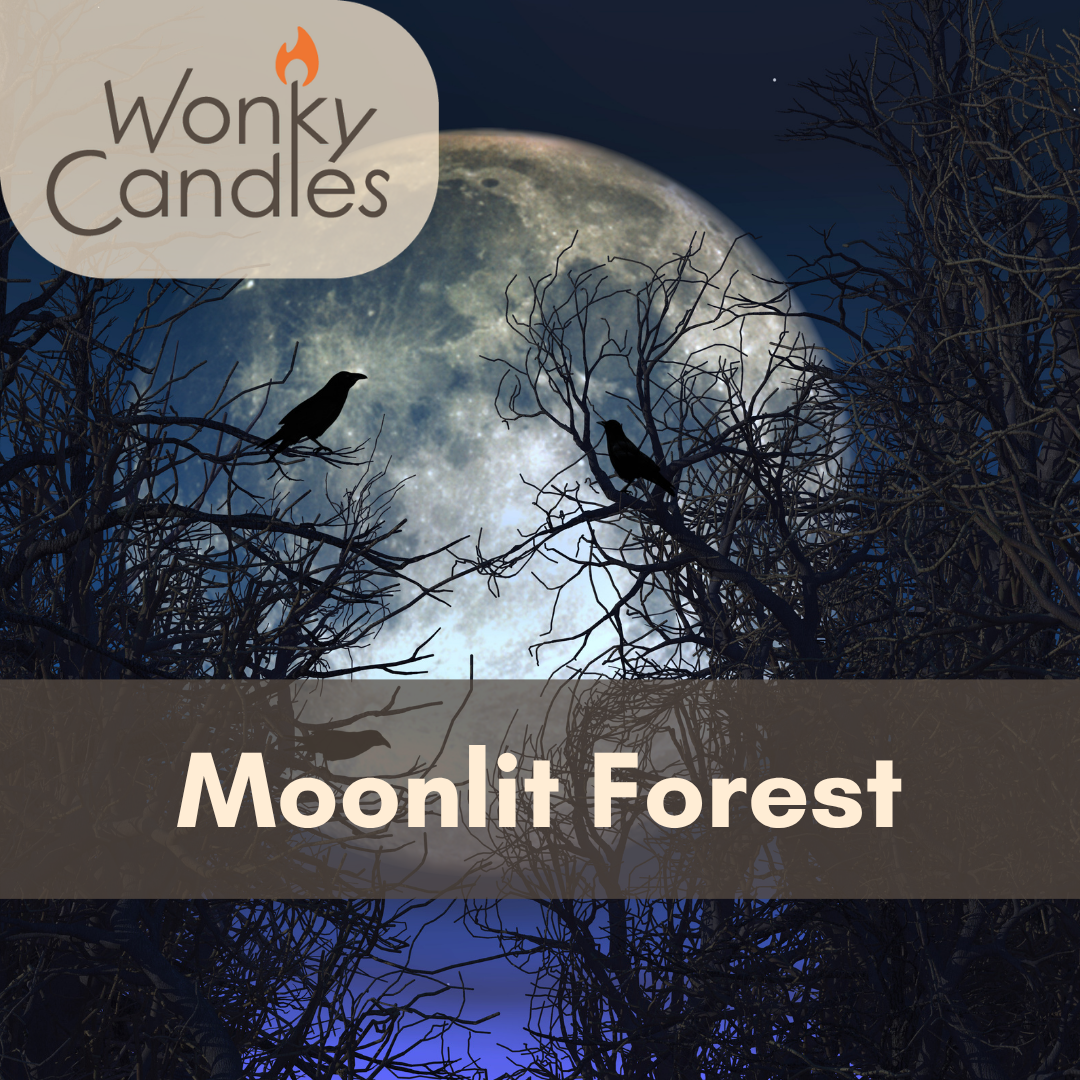 Moonlit Forest Wax Melt Clamshell