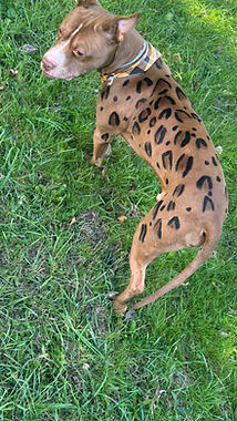 IMG_0047_edited.jpg