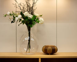 IDO: Designed to Blend In but Stand Out