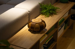 IDO: Designed to Blend In but Stand Out