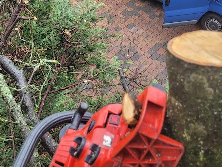 Expert conifer hedge cutting Redditch Worcestershire - LevelUp Contractors by Biddle