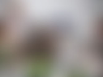 The Importance of Sustainability in Business: A Comprehensive Guide