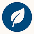 Symbol für ganzheitliche BGM/Gesundheitsmanagement Beratung von Sanus Consult