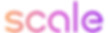 scale-ai-data-platform-logo-png_seeklogo-446854_edited.jpg