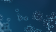 Images projets (300 × 108 px).png