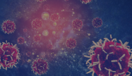 Images projets (300 × 108 px) (1).png
