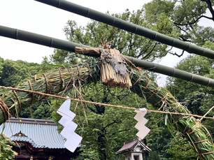 心を清め、季節をくぐる——夏越しの大祓いは茅の輪をくぐりぬけ「半年の厄」を脱ぎ捨てる日|日本人のこころに宿る夏越しの祈り