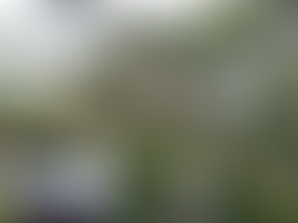 心を清め、季節をくぐる——夏越しの大祓いは茅の輪をくぐりぬけ「半年の厄」を脱ぎ捨てる日|日本人のこころに宿る夏越しの祈り