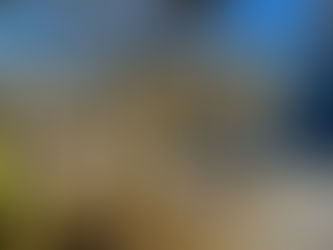 考えない人が増えた時代…。“なぜ?”を捨てた瞬間、人は思考をやめる—4月27日は哲学の日