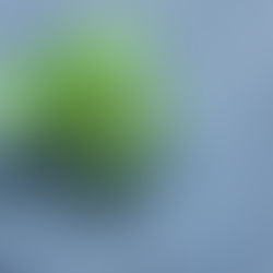 「その雨、無駄じゃない。」4月20日“穀雨”が教えてくれる、“逆転のヒント”