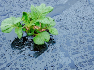 「その雨、無駄じゃない。」4月20日“穀雨”が教えてくれる、“逆転のヒント”