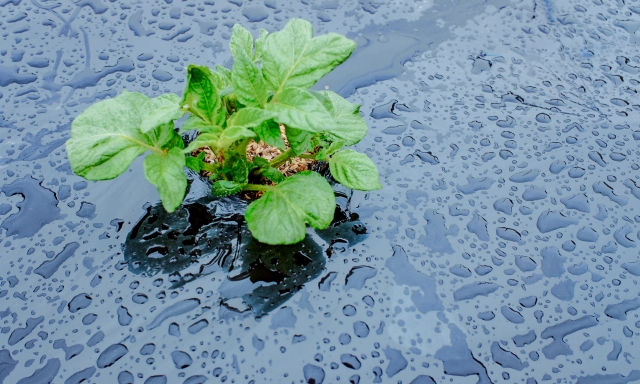 「その雨、無駄じゃない。」4月20日“穀雨”が教えてくれる、“逆転のヒント”