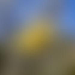 寒さが深まる前に、心と暮らしを見直す一年で最も寒い季節へ。「小寒」が伝える静かな整えの時間。