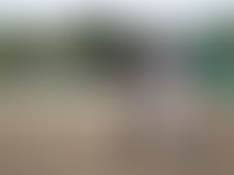 夏を繋ぐ一球─8月18日 “高校野球記念日”が刻む青春