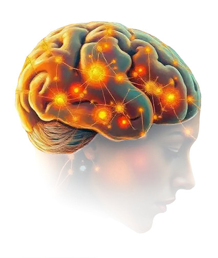 Brain_edited.jpg