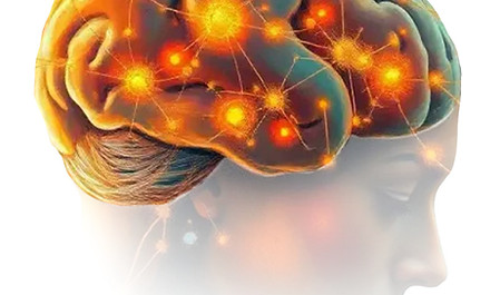 Brain_edited.jpg