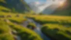 Eco-Adventures