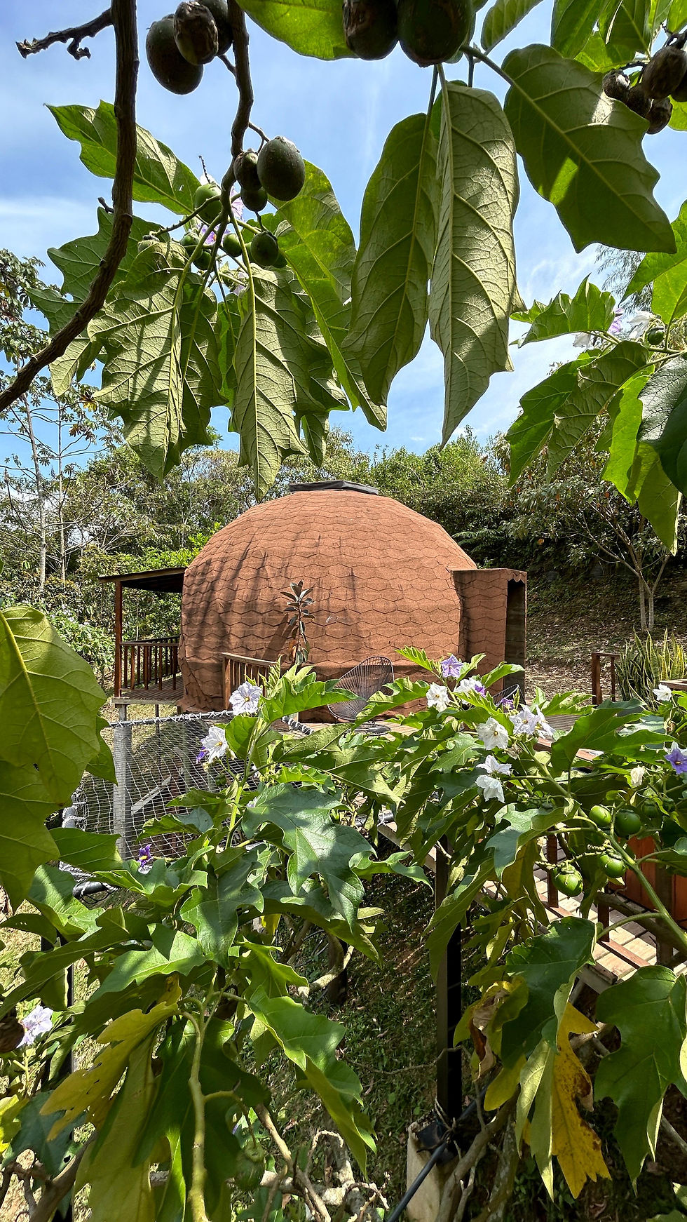 WhatsApp Image 2024-08-22 at 3.47.20 PM