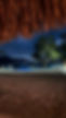 IMG_1511.JPEG