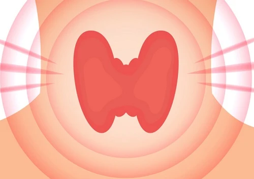 thyroid