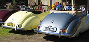 IMG_1564.jpg