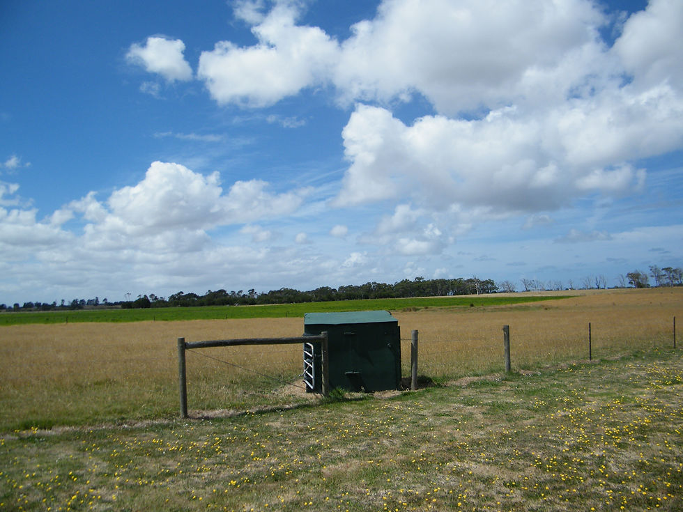 DSCF2432.JPG