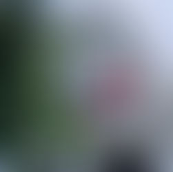 República Dominicana & Panamá 