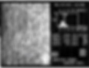 Microscopia especular León
