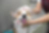 AdobeStock_305398567.jpeg