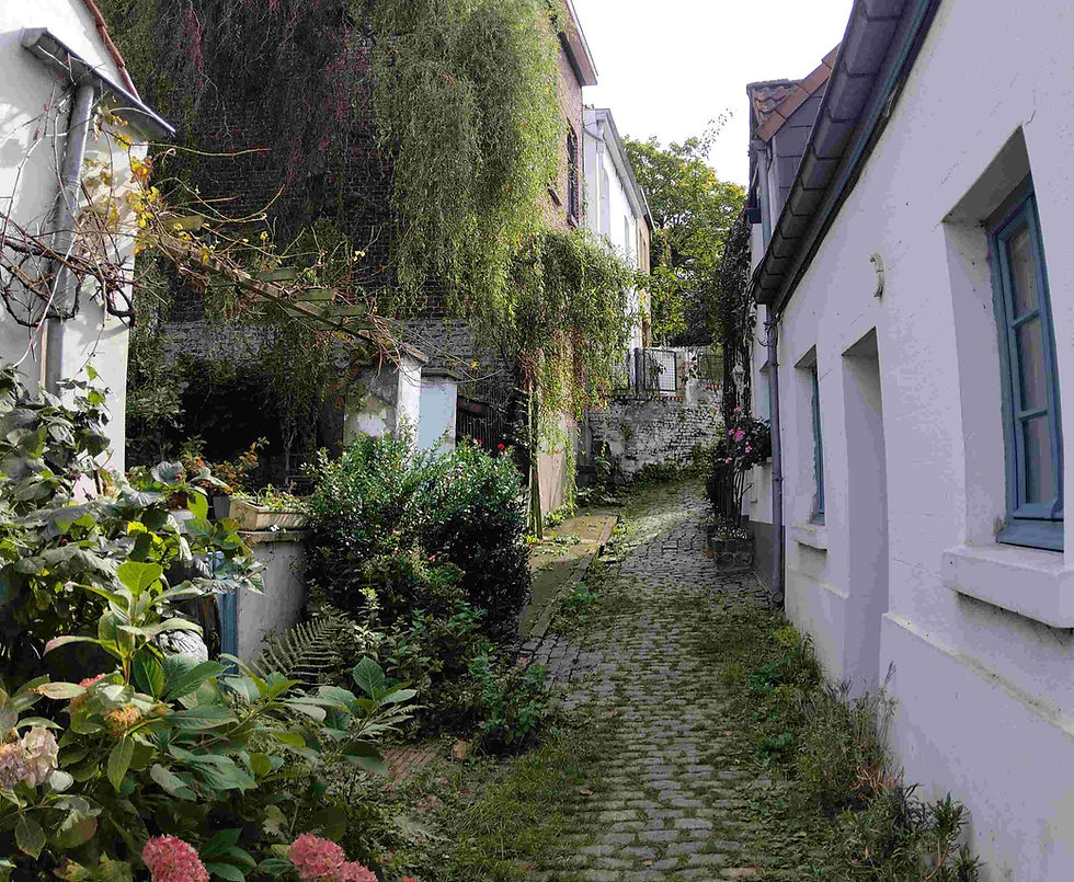Balade Nature et Histoire du Quartier (FR) par Comité de Quartier du Vieux-Sainte-Anne