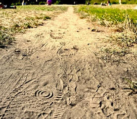 Footprints : éprouver les transitions en marchant (FR/EN) par Somacities
