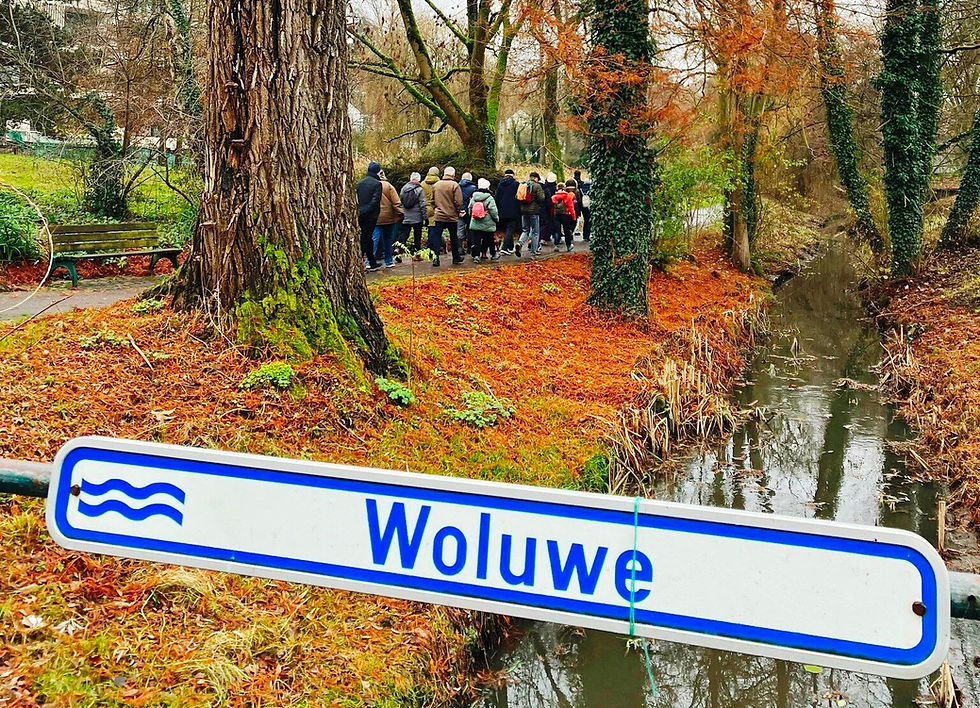 Ontdek de Woluwe in Watermaal-Bosvoorde (NL) door Coordinatie Zenne