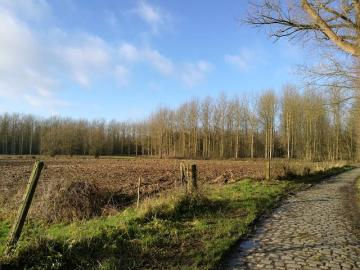 Randonnée aux portes de Bruxelles (FR) par Bruxelles Bavard