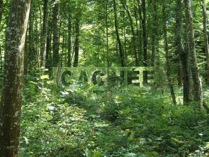 "Cachée"